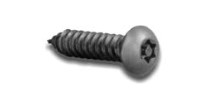 #10 X 2" TAMPER RESIST TORX BUTTON HD PLAIN