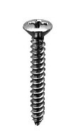 4 X 3/4 PHILLIPS OVAL HEAD TAP SCREW CHROME