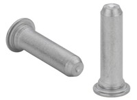 SELF-CLINCHING PILOT PINS