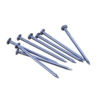 16D NON-FERROUS COMMON NAILS